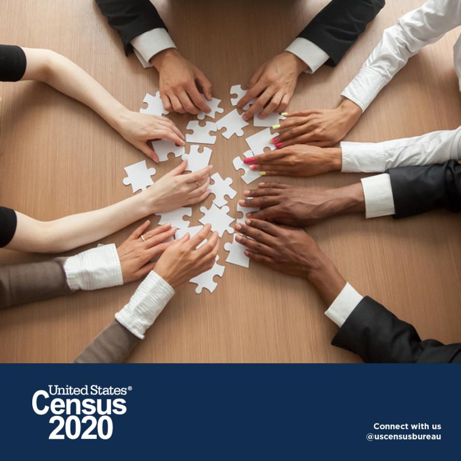 Census Flyer