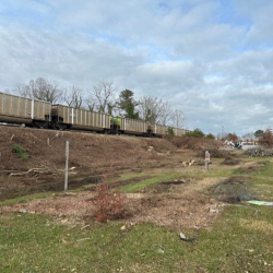 View of the Brooklyn Community Garden before the expansion and revitalization effort, 2023