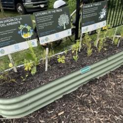 Vegetable and pollinator plants in garden bed with educational signs