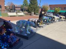 2025 Bears at the Courthouse
