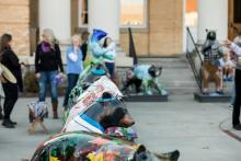 art bears lined up at courthouse