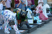 bears lined up at the courthouse for the auction