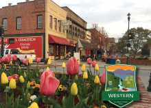 Hendersonville with tulips