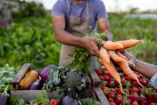 Farmers Market booth