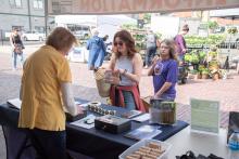 Volunteer working with a customer at the Hendersonville farmers market