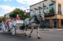 Carriage Ride