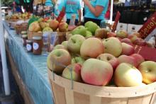 Apple Festival 2