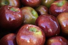 Apples Closeup