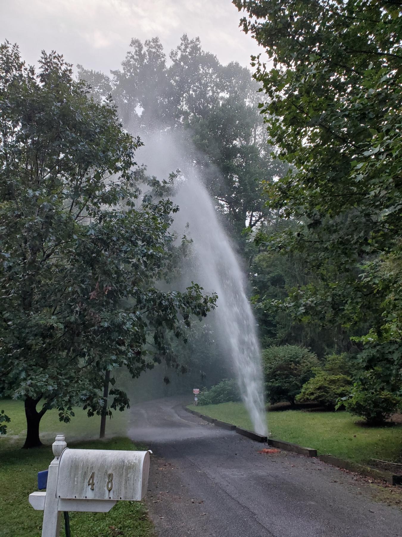 Emergency Leak Emergency Leak