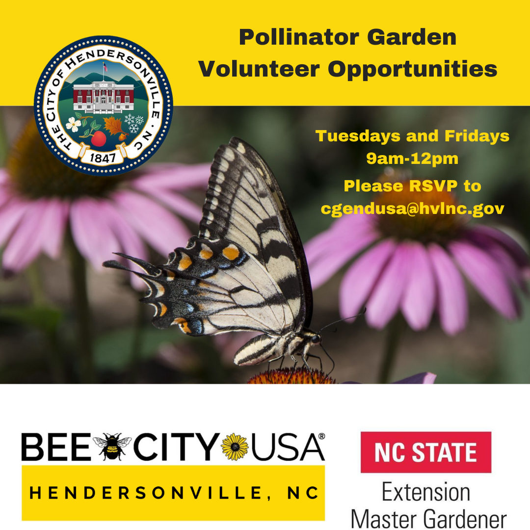 Volunteer notice