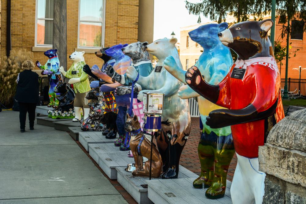 designed bears lined up for the reveal