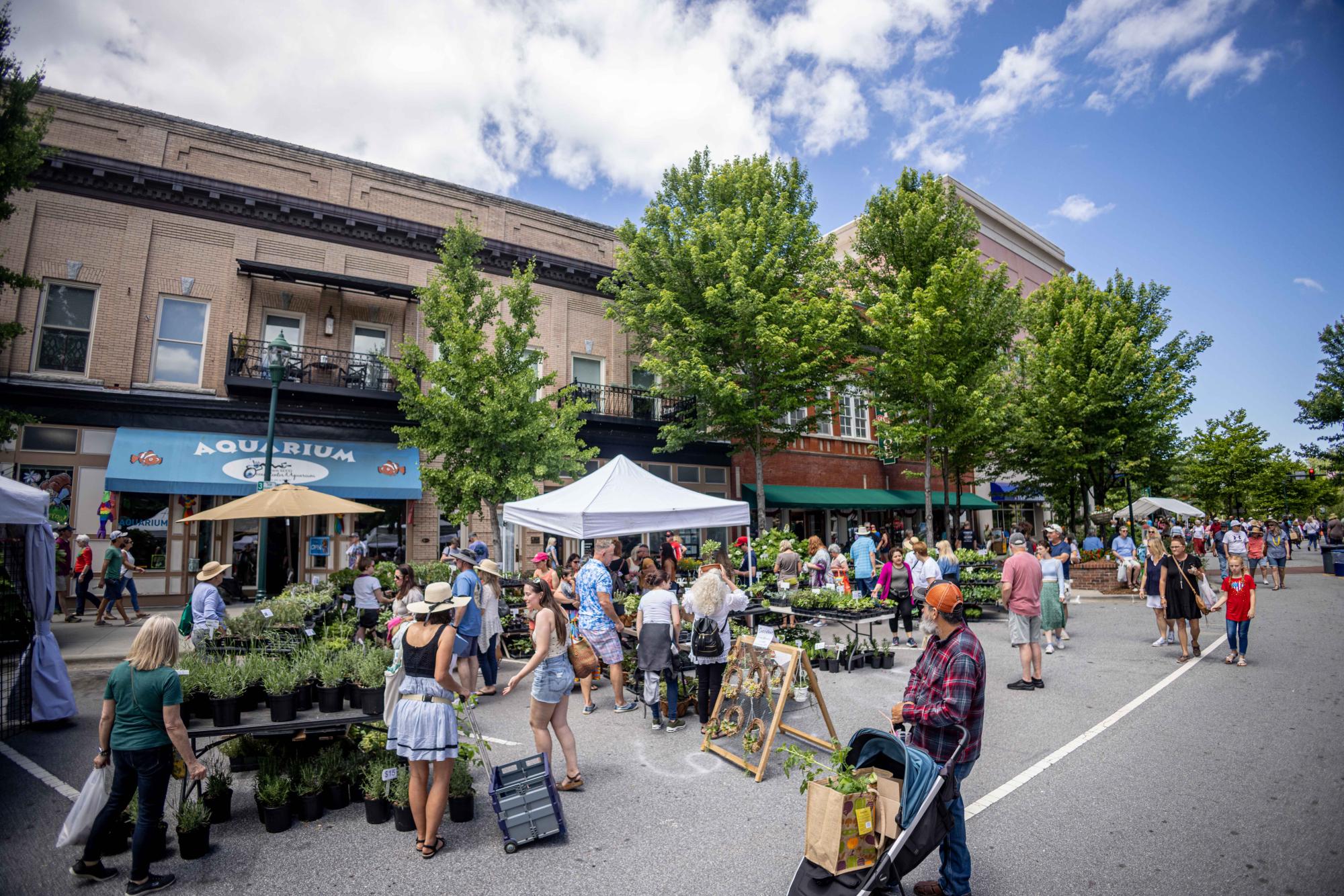 Main street with vendors, plants, and people