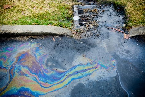 Photo of rainbow sheen (indicative of petroleum based pollutants) in runoff draining to catch basin
