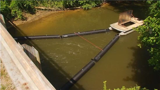 Trash Trout Installation on Mud Creek at Berkeley Rd Crossing