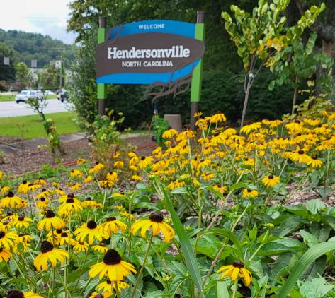 Black eyed susan flowers in front of Hendersonville sign on Four Seasons Boulevard
