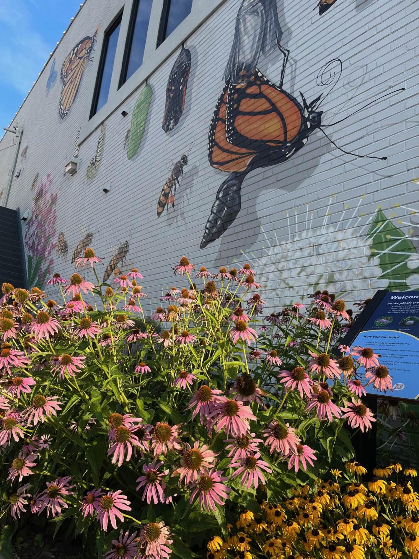 Building mural of bees and several pollinator plants outside the Hands On! Museum