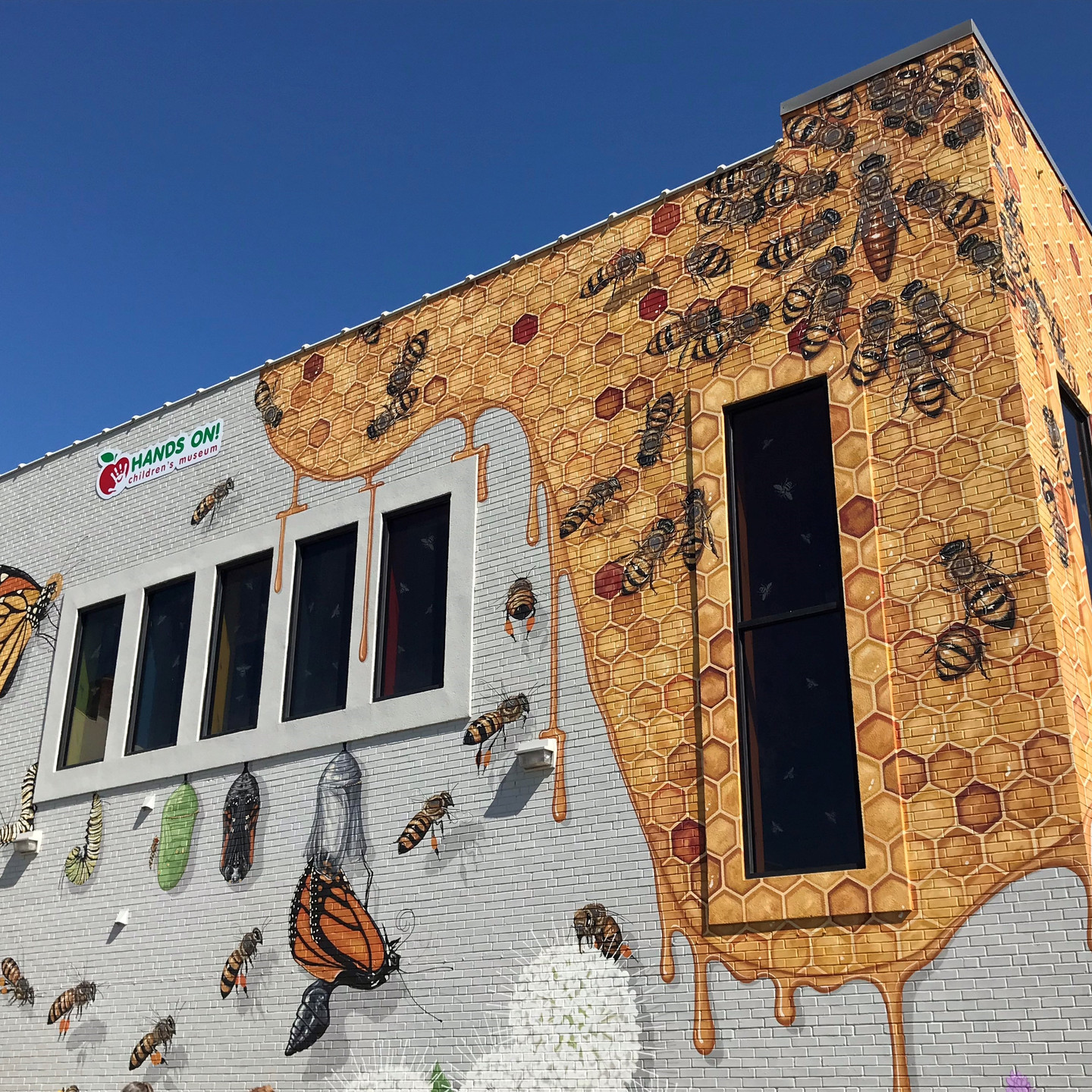 Mural on Hands On! Museum of a bee hive, bees, and a Monarch Butterfly hatching