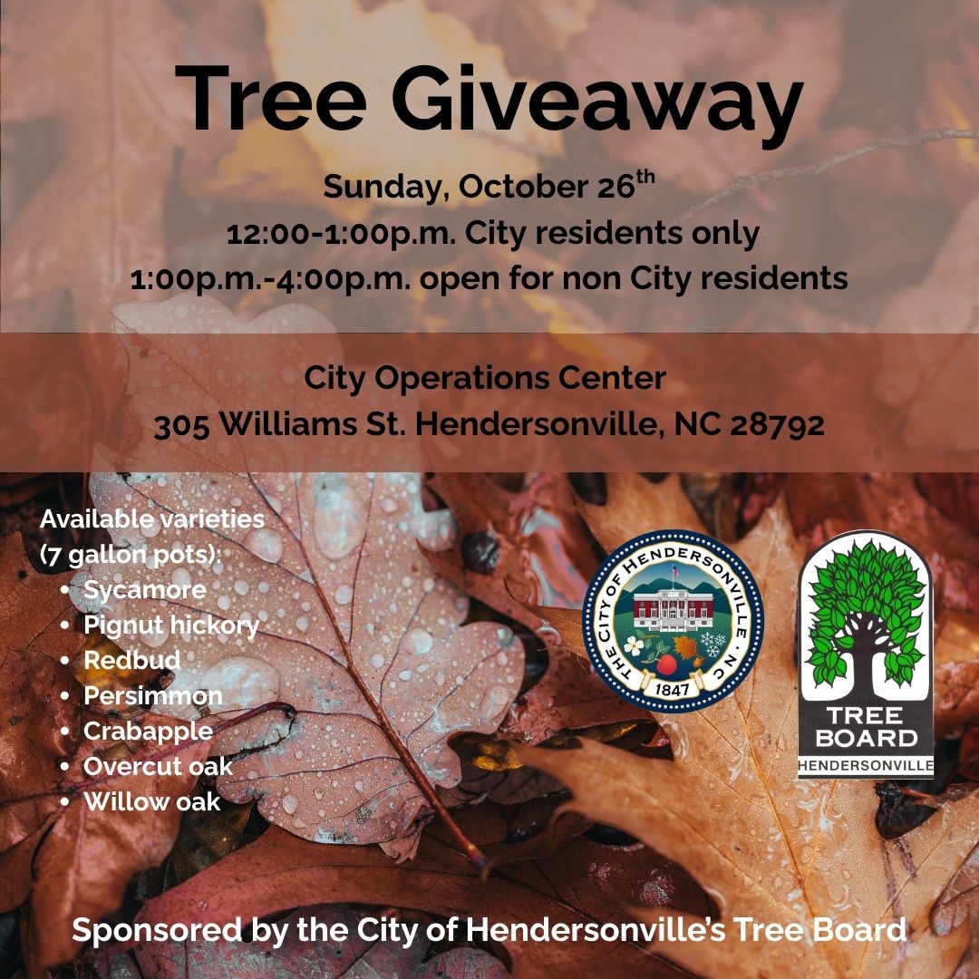 Tree Giveaway flyer