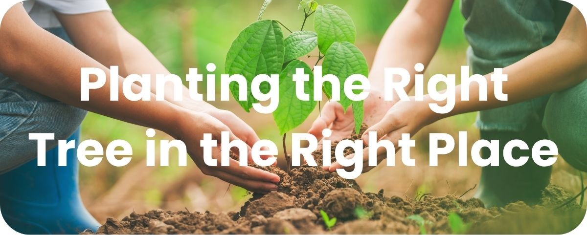 Planting the Right Tree in the Right Place