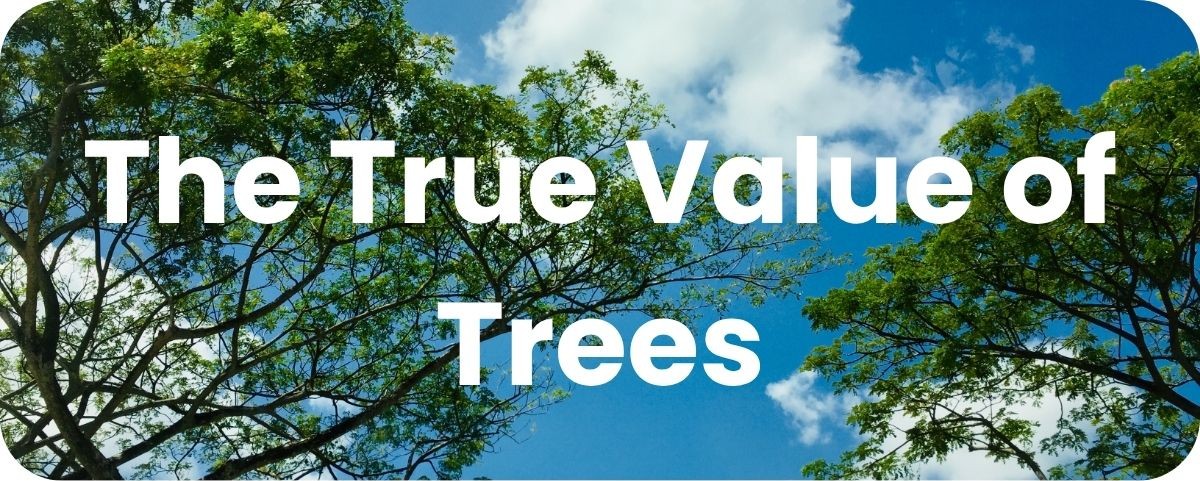 The True Value of Trees