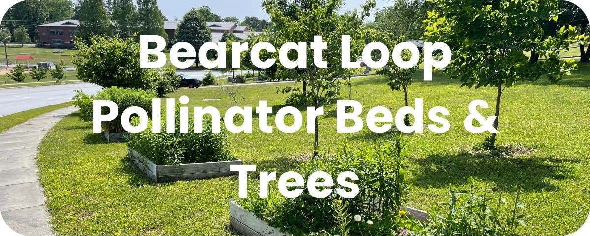 Bearcat Loop Pollinator Beds & Trees Bearcat Loop Pollinator Beds & Trees
