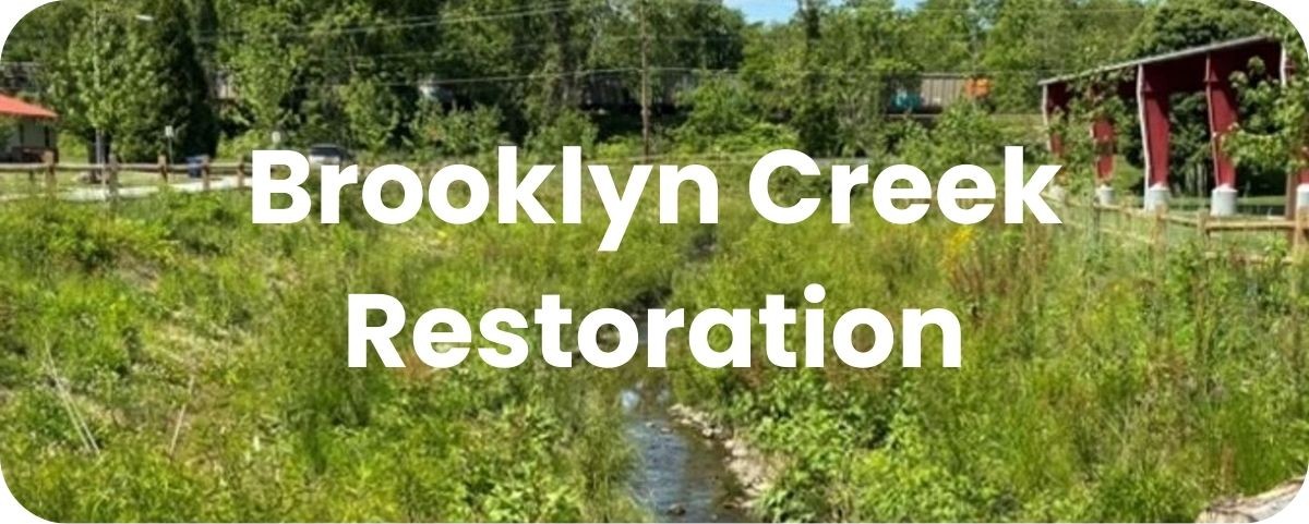 Brooklyn stream restoration Brooklyn stream restoration