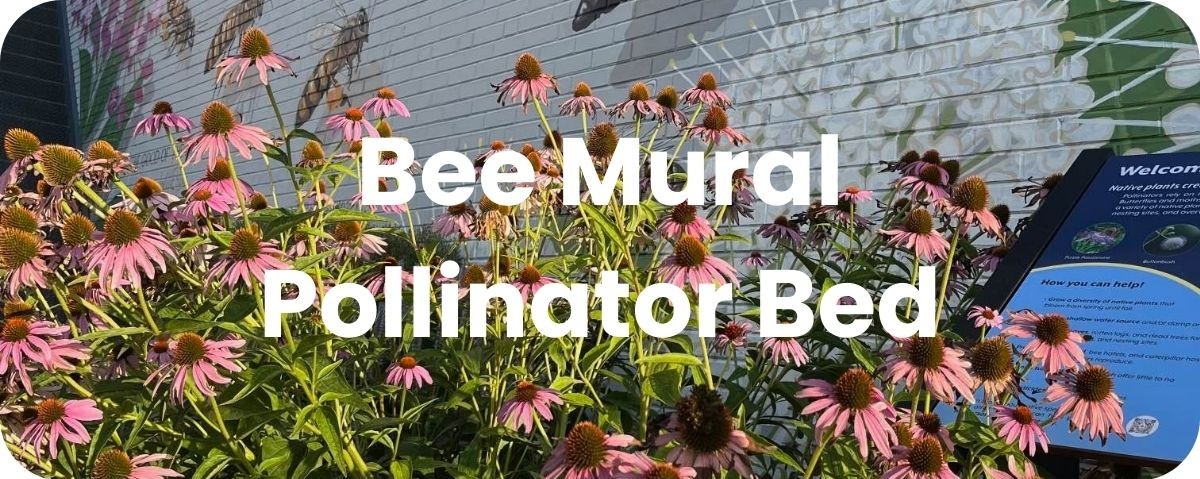 Bee Mural Pollinator Bed Bee Mural Pollinator Bed