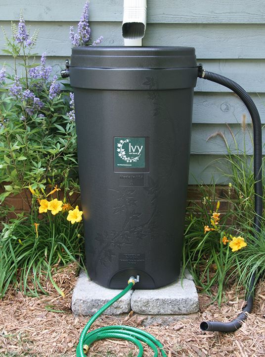 rain barrel