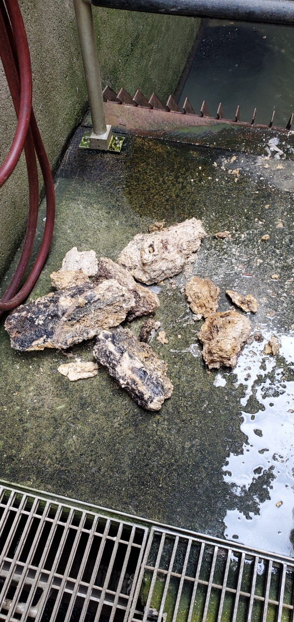 Grease removed from the Influent at Hendersonville's WWTF Grease removed from the Influent at Hendersonville's WWTF