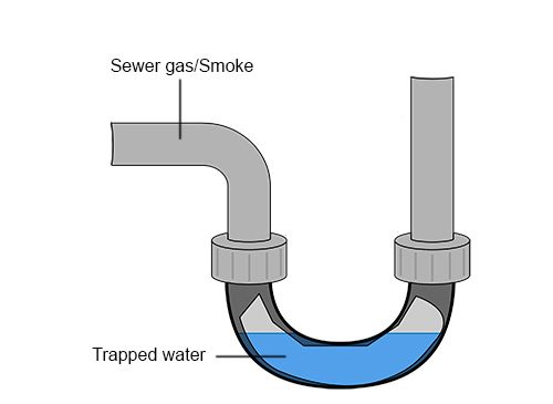 drain trap