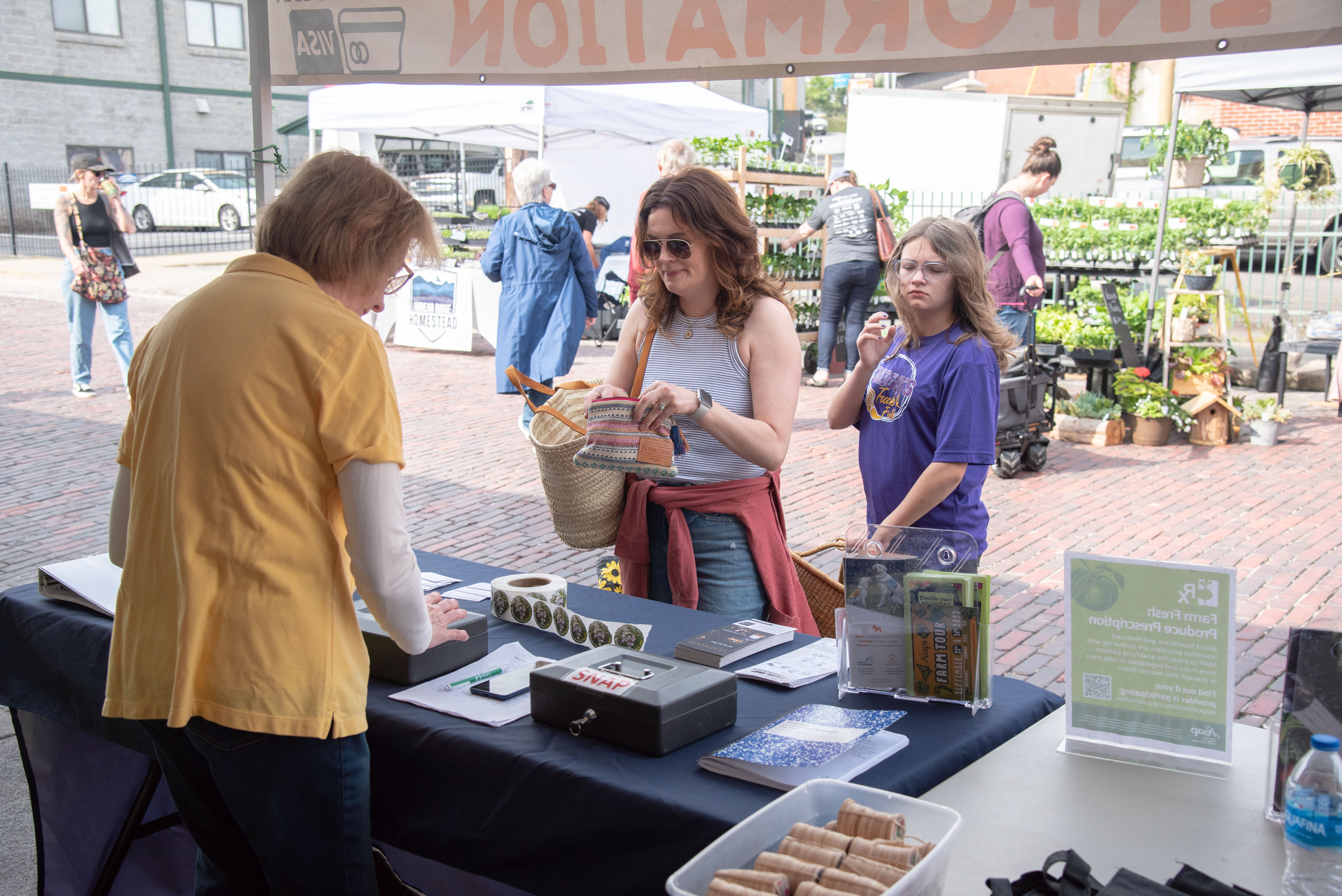Volunteer working with a customer at the Hendersonville farmers market 