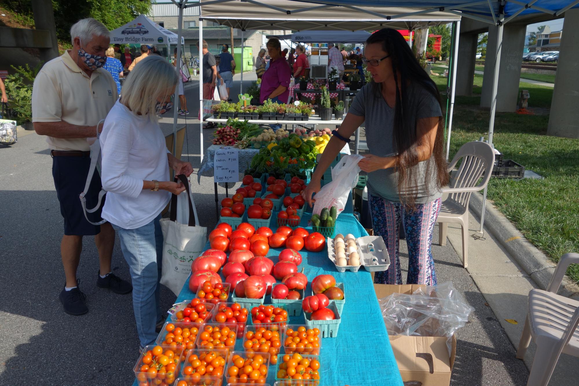 Vendor selling tomatoes to a customer