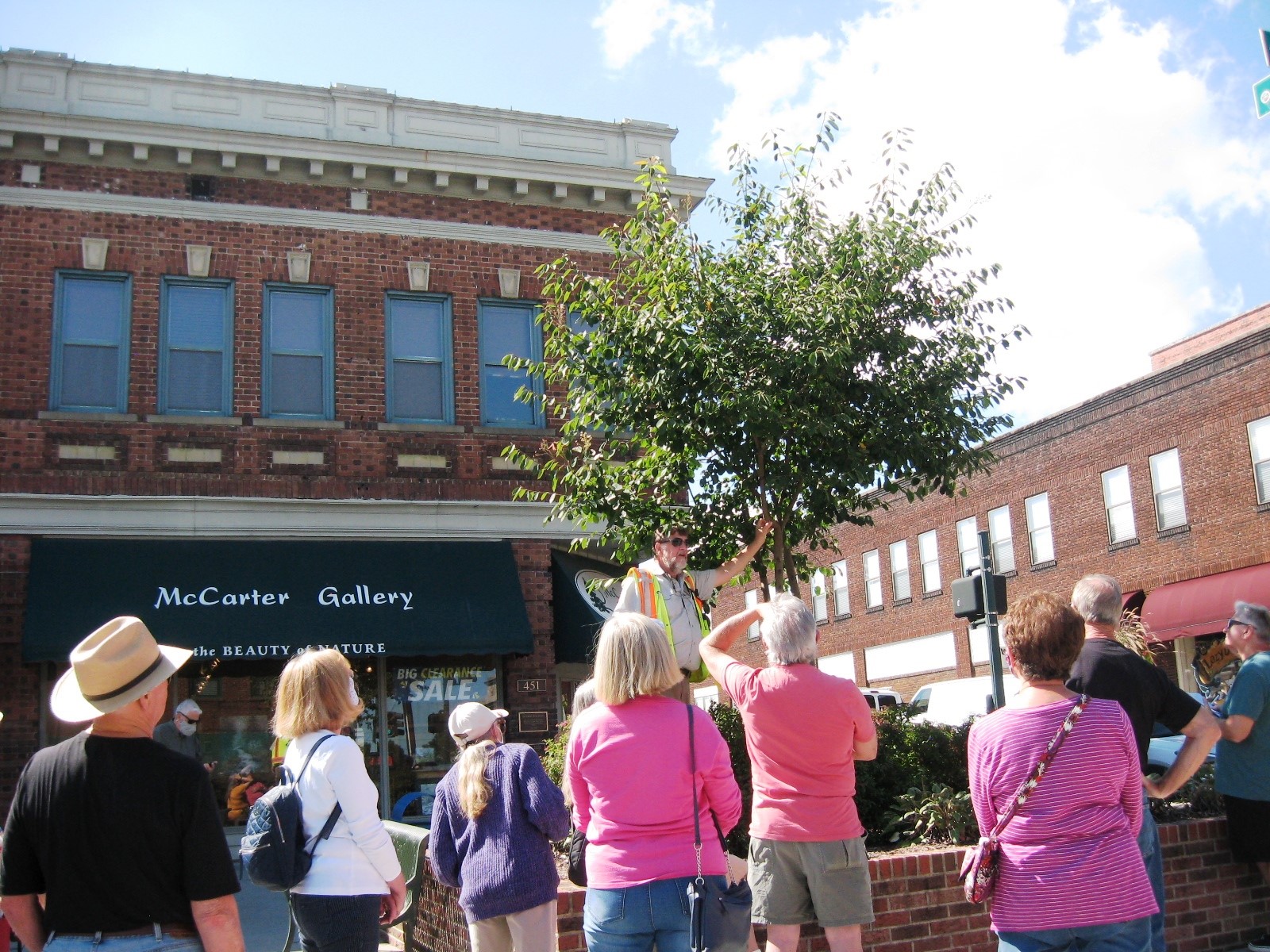 man talking about trees on main street