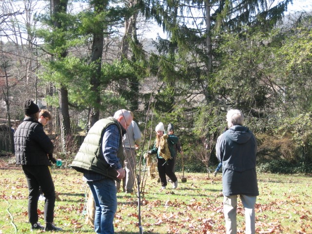 A group of people outside planting trees