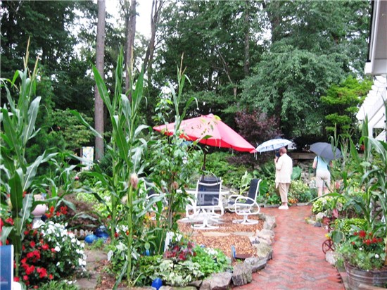 shade garden path