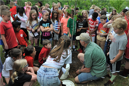 Kids planting a tree