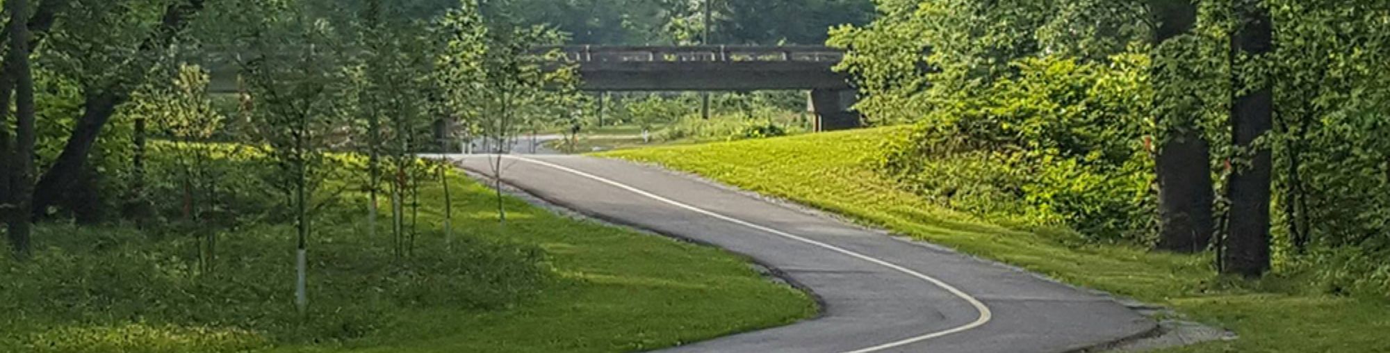 Oklawaha Greenway Trail with bridge in distance