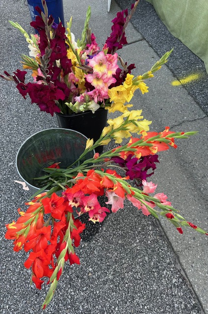 Glads from The Popp Shoppe
