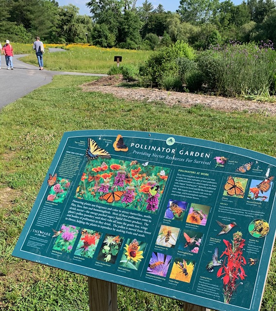 Pollinator Trail | City of Hendersonville, NC | Official Website