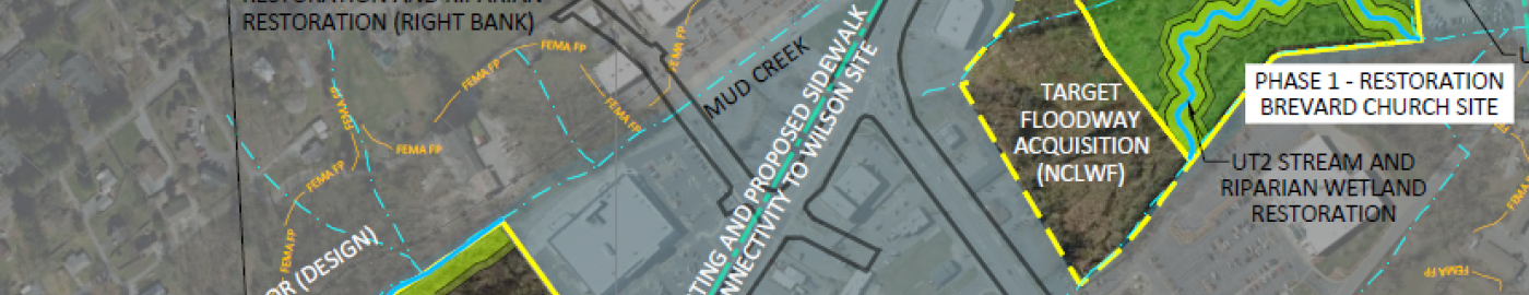 Lower Mud Creek Floodplain Restoration