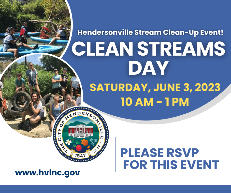 Stream Clean-up Day